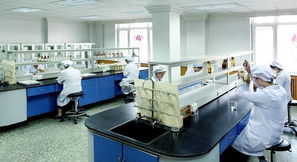 豪華賽皇宮，藥價為何高？——透視哈藥六廠事件中的網絡技術與輿論影響